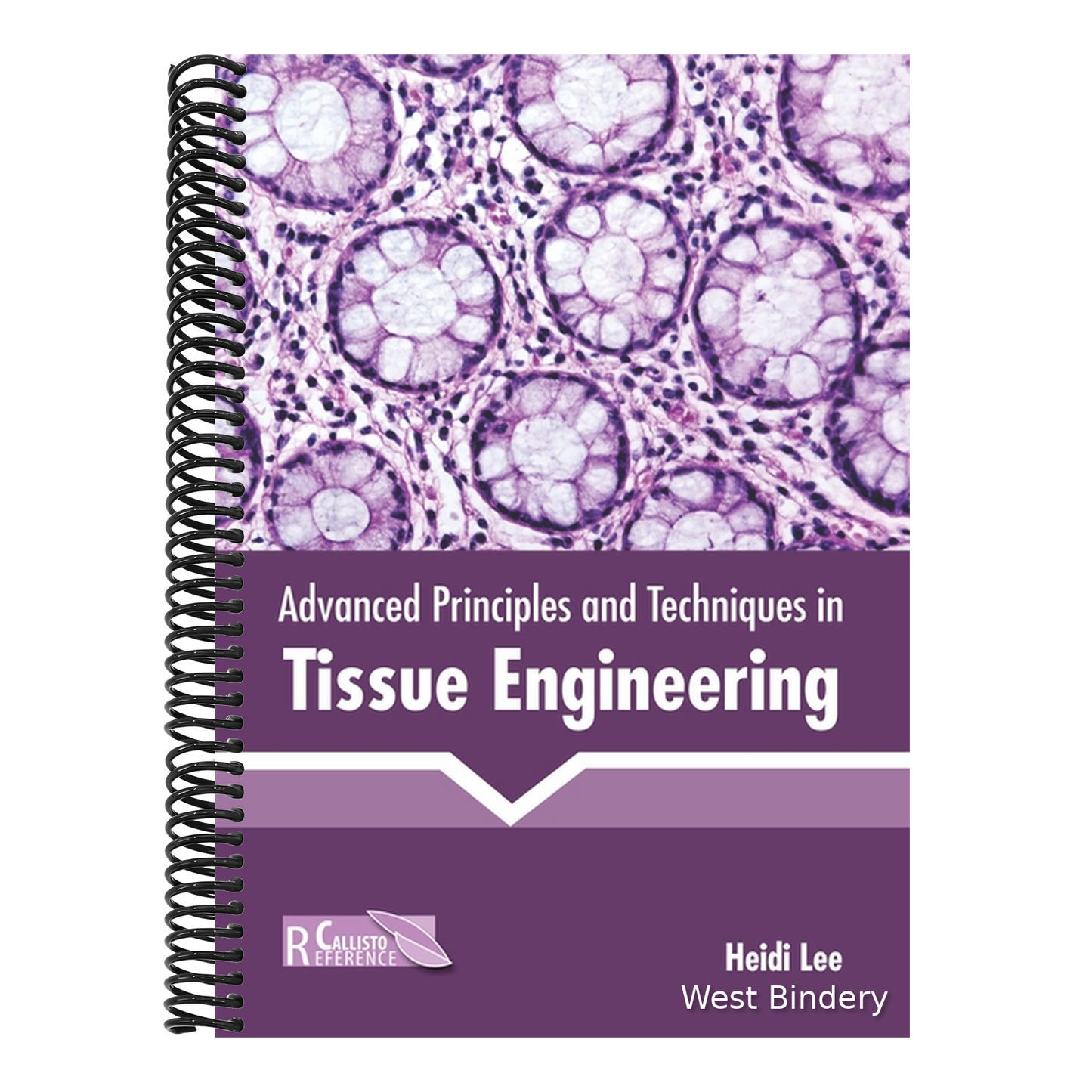 Advanced Principles and Techniques in Tissue Engineering