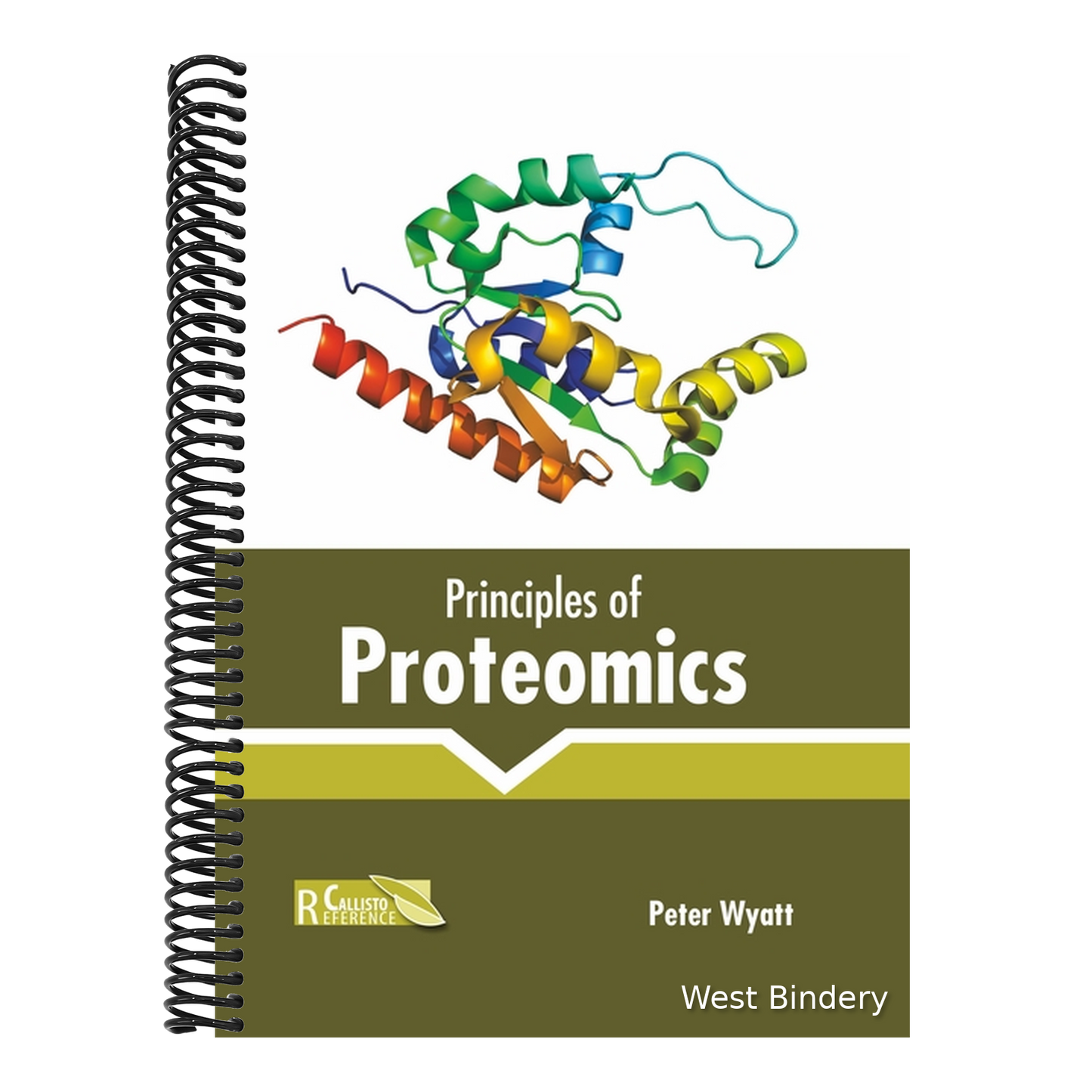 Principles of Proteomics