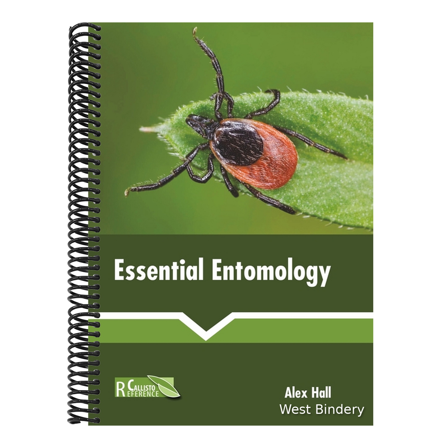 Essential Entomology