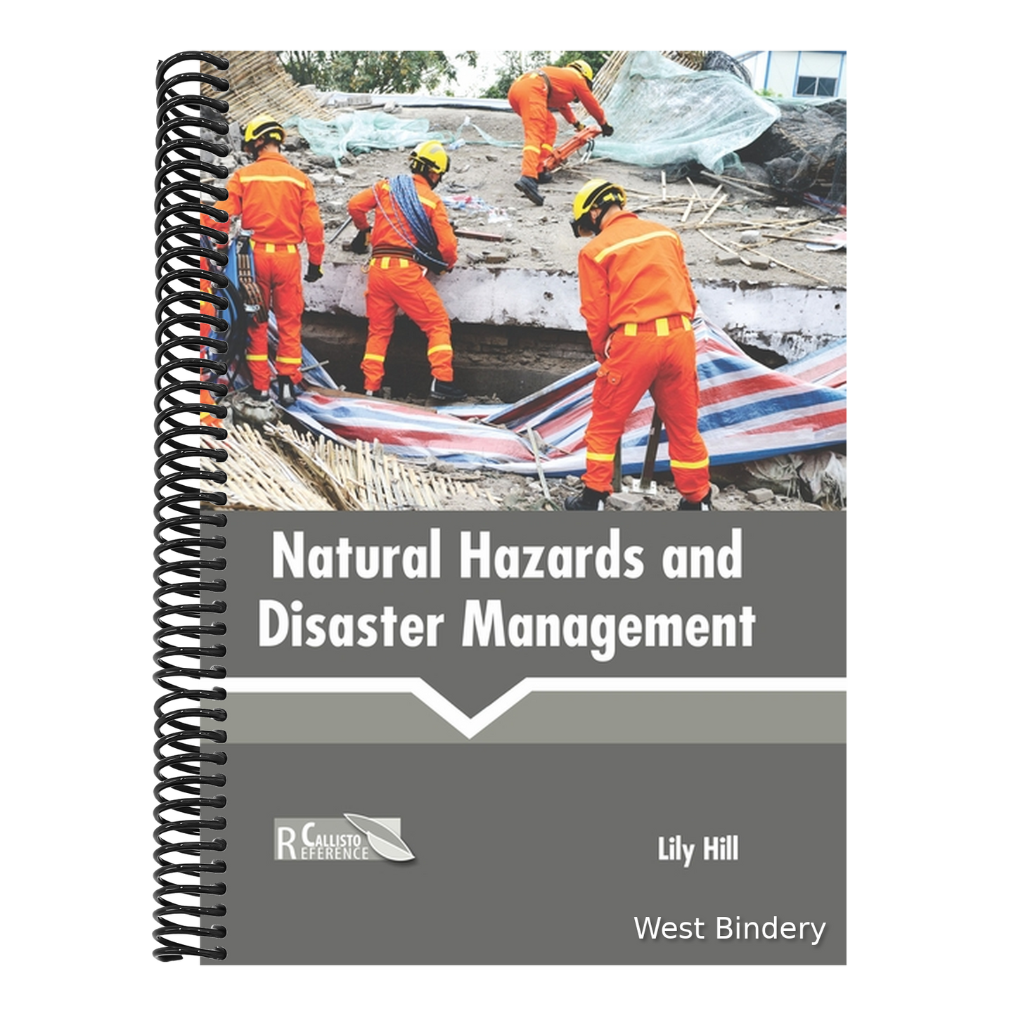 Natural Hazards and Disaster Management