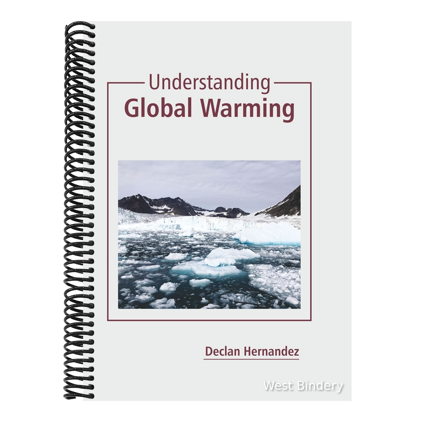 Understanding Global Warming