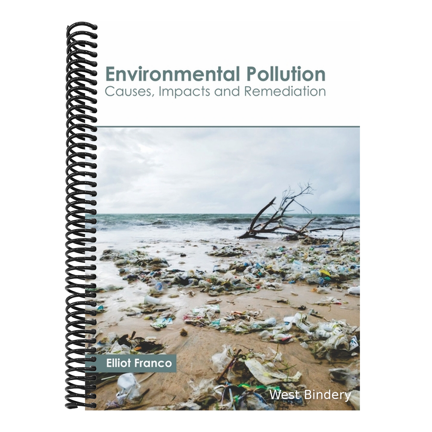 Environmental Pollution: Causes, Impacts and Remediation