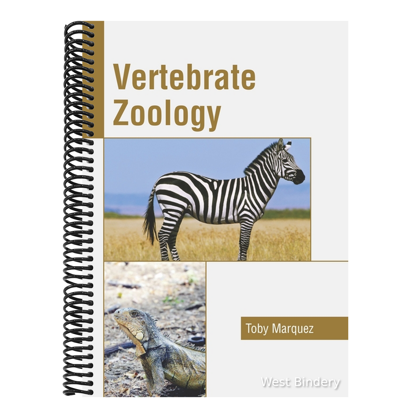 Vertebrate Zoology