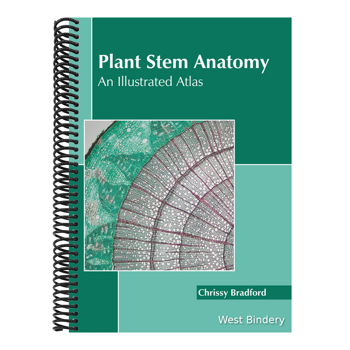 Plant Stem Anatomy: An Illustrated Atlas