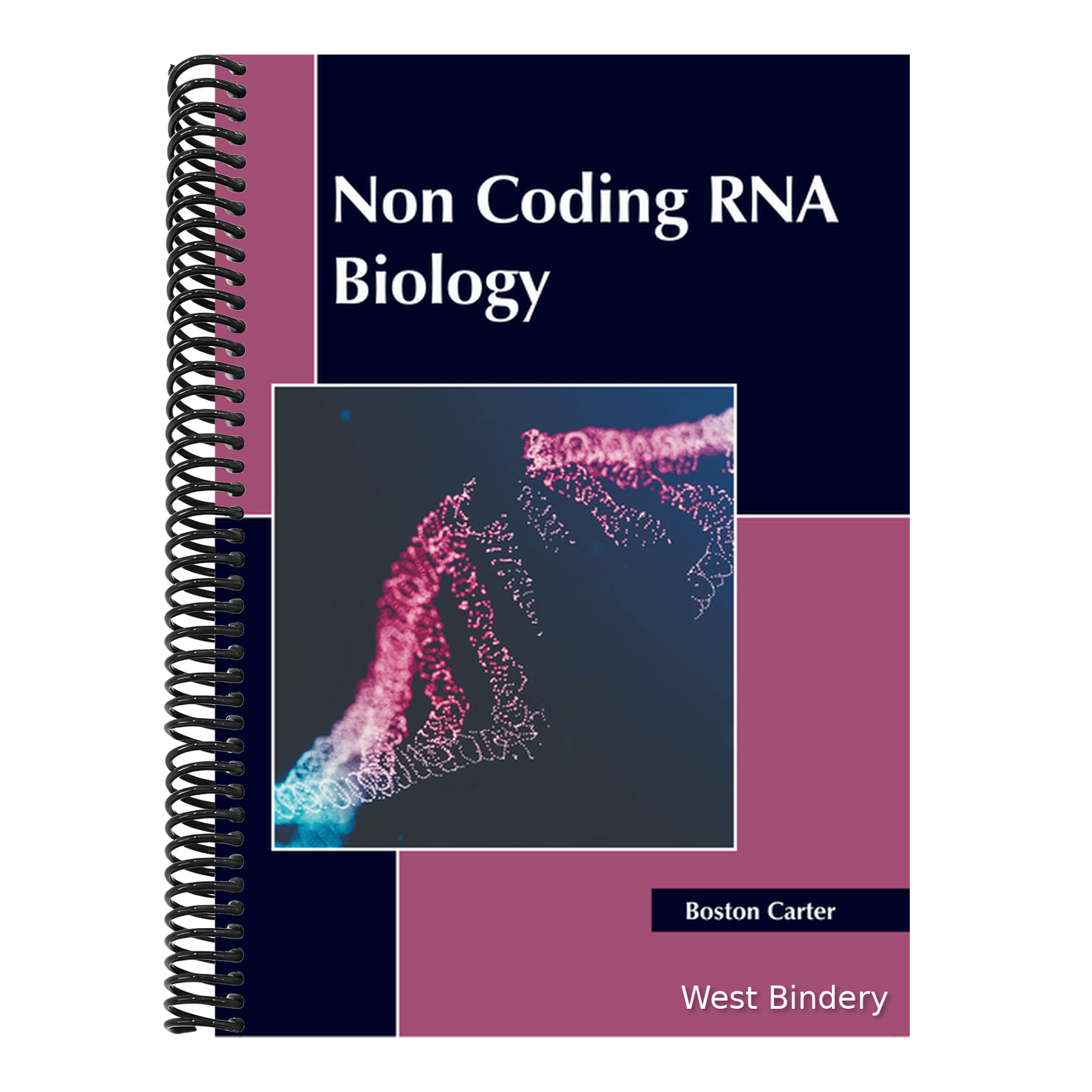Non Coding RNA Biology