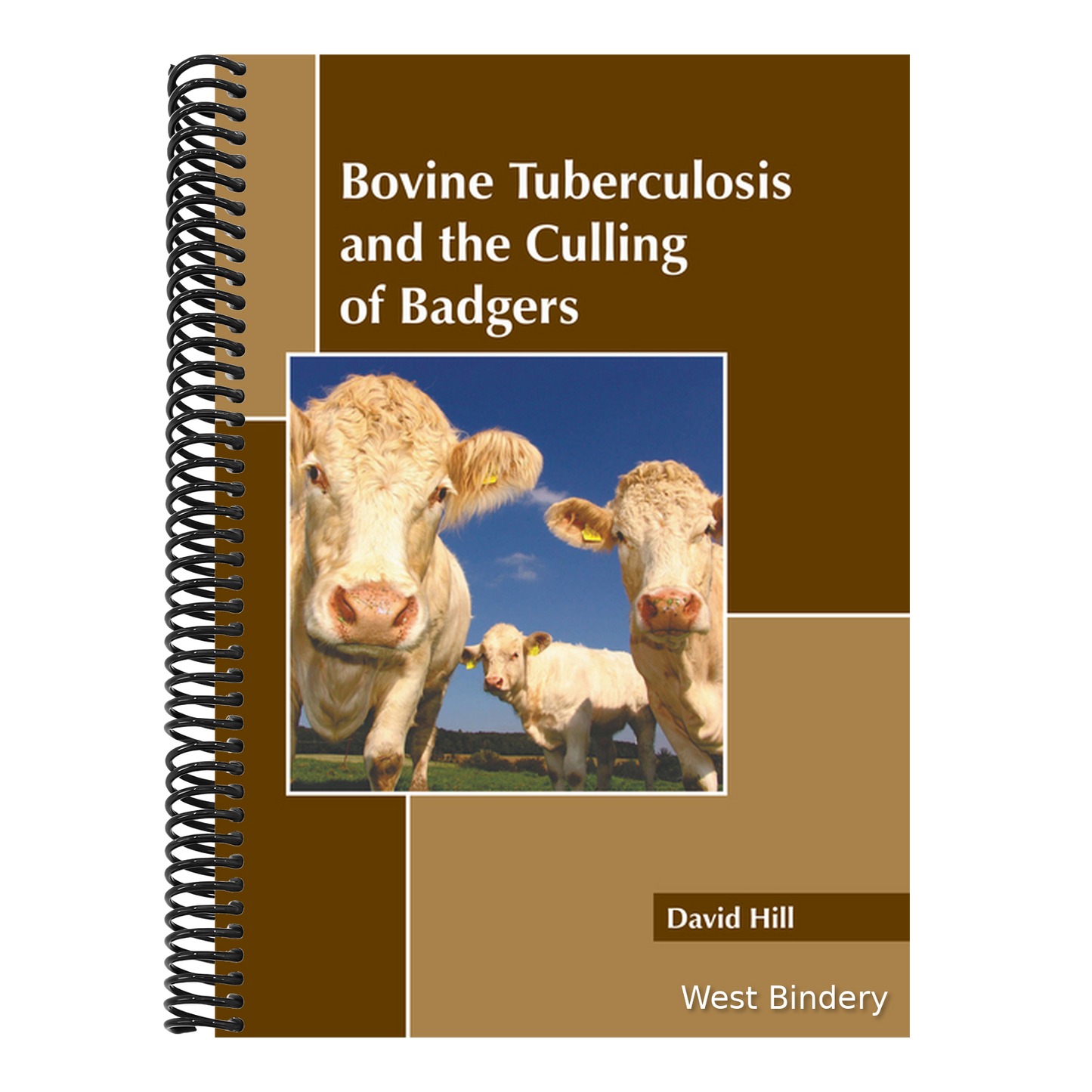 Bovine Tuberculosis and the Culling of Badgers