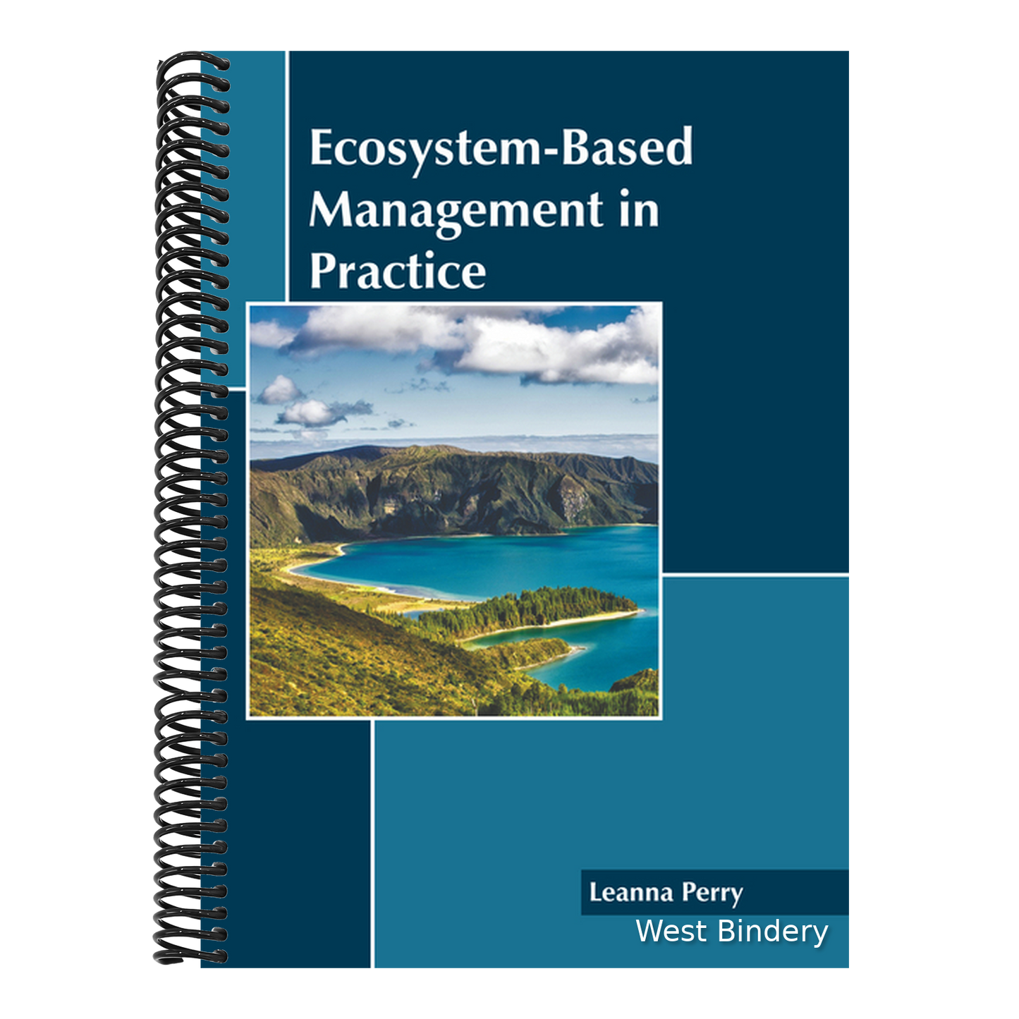 Ecosystem-Based Management in Practice