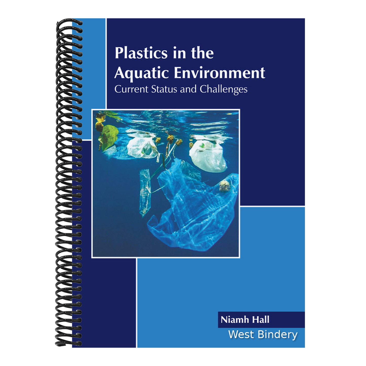 Plastics in the Aquatic Environment: Current Status and Challenges