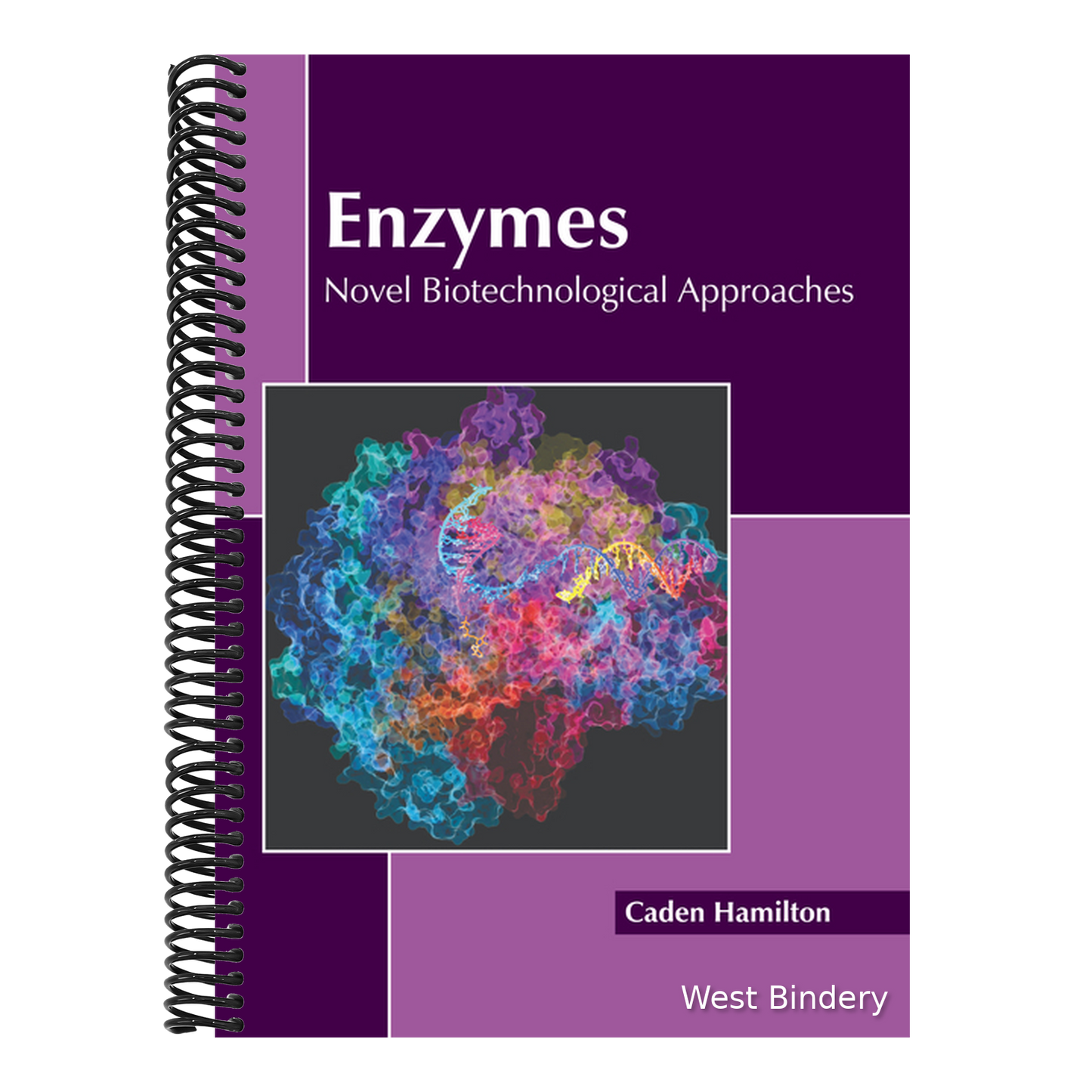Enzymes: Novel Biotechnological Approaches