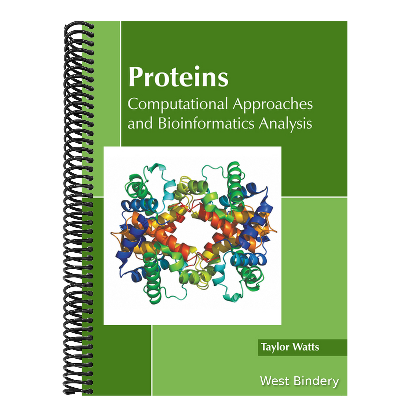 Proteins: Computational Approaches and Bioinformatics Analysis