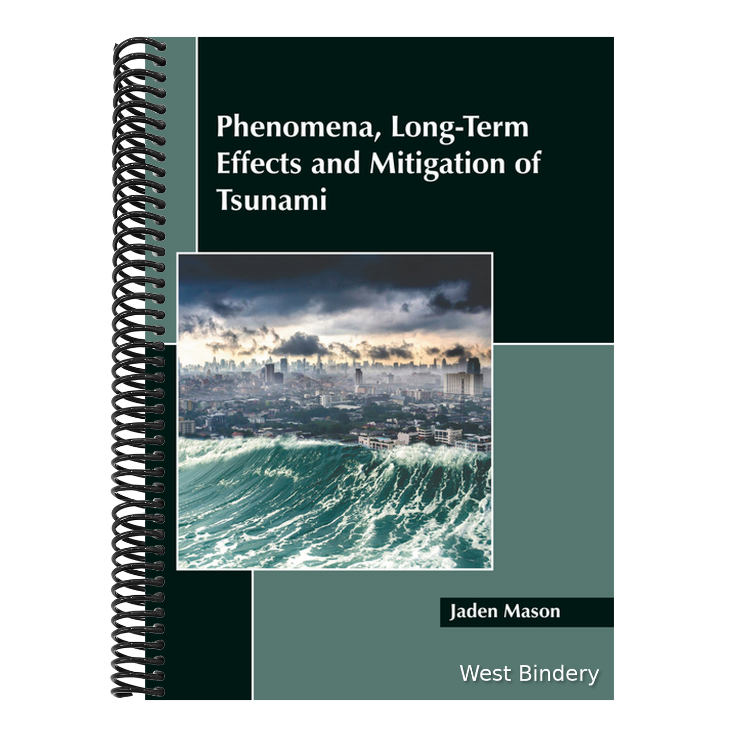 Phenomena, Long-Term Effects and Mitigation of Tsunami