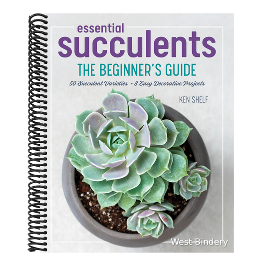 Essential Succulents: The Beginner's Guide