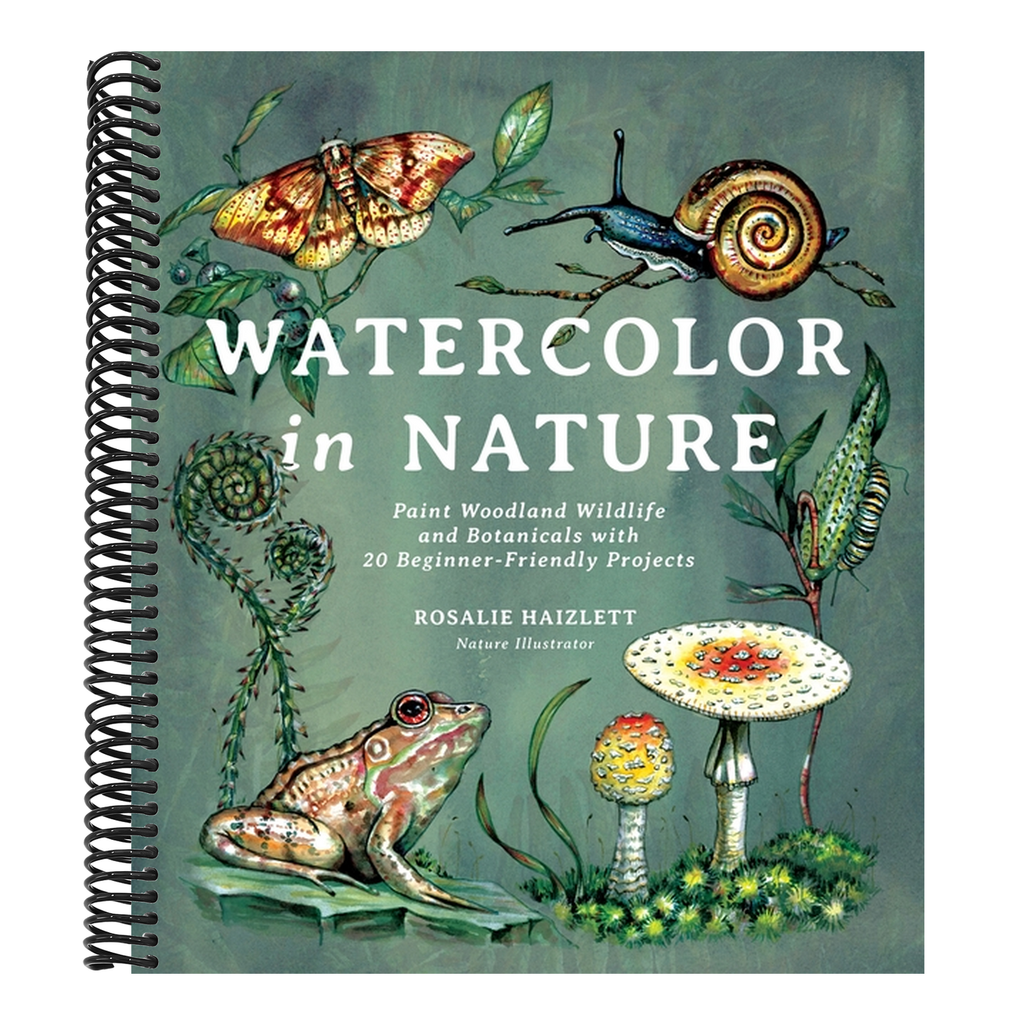 Watercolor in Nature: Paint Woodland Wildlife and Botanicals with 20 Beginner-Friendly Projects (Spiral Bound)