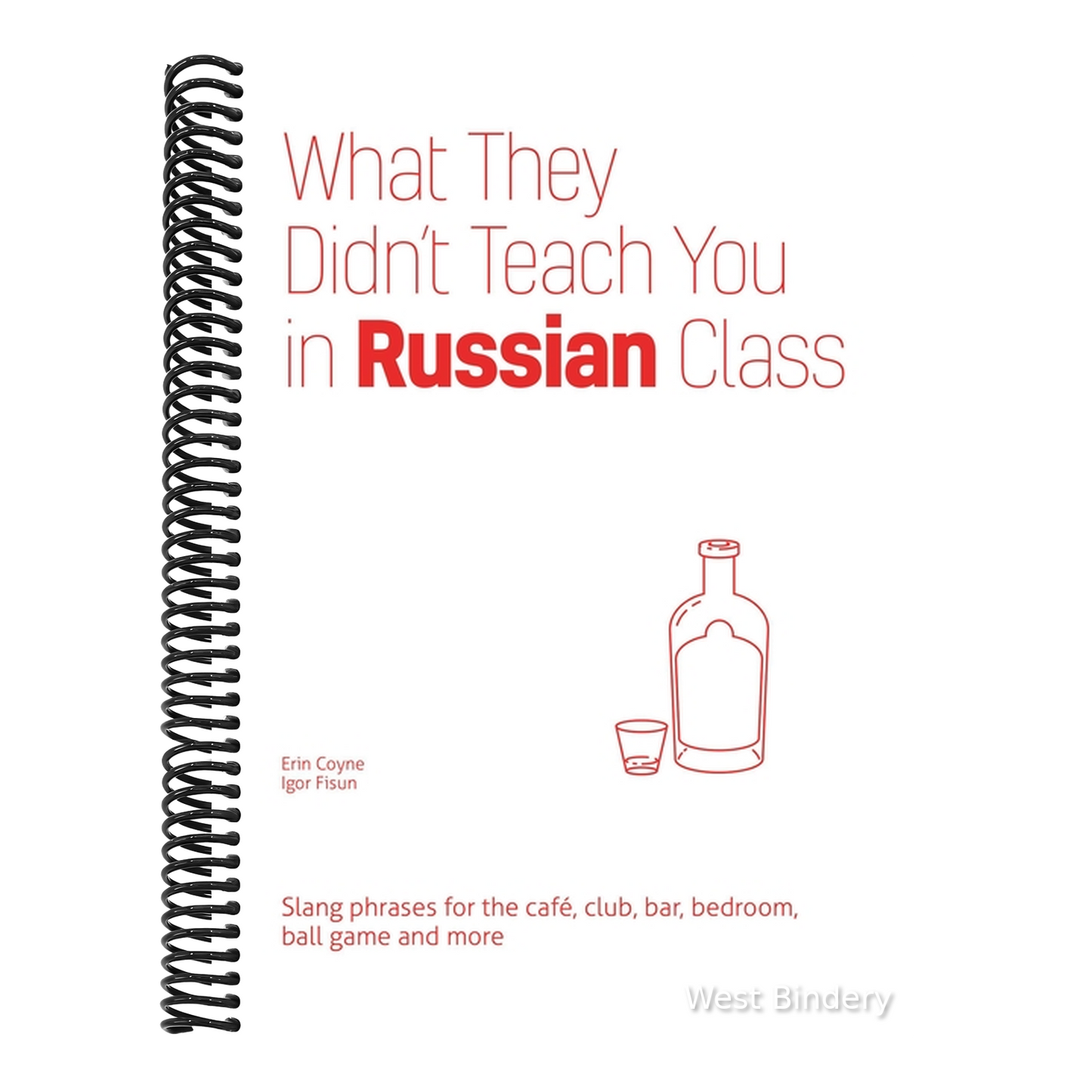 What They Didn't Teach You in Russian Class: Slang Phrases for the Cafe, Club, Bar, Bedroom, Ball Game and More