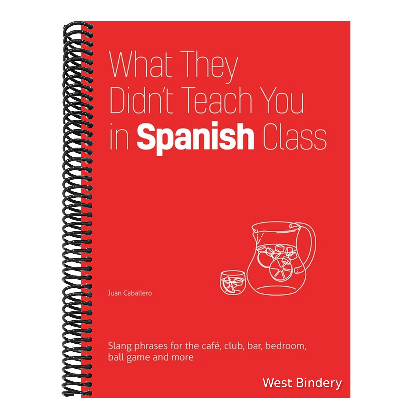 What They Didn't Teach You in Spanish Class: Slang Phrases for the Cafe, Club, Bar, Bedroom, Ball Game and More