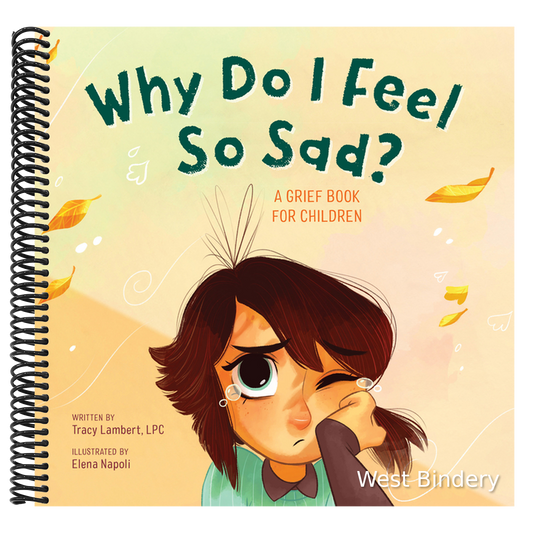 Why Do I Feel So Sad?: A Grief Book for Children