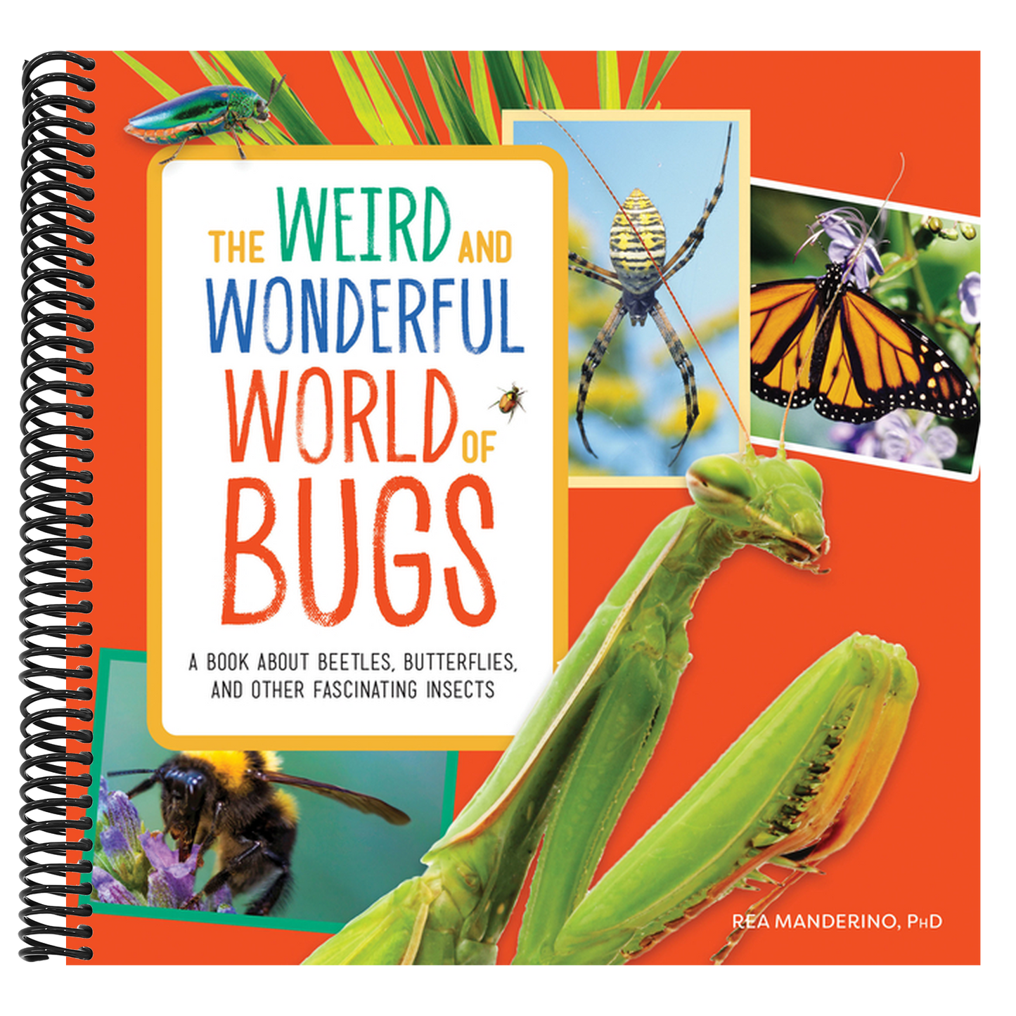 The Weird and Wonderful World of Bugs: A Book about Beetles, Butterflies, and Other Fascinating Insects