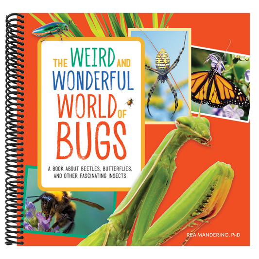The Weird and Wonderful World of Bugs: A Book about Beetles, Butterflies, and Other Fascinating Insects