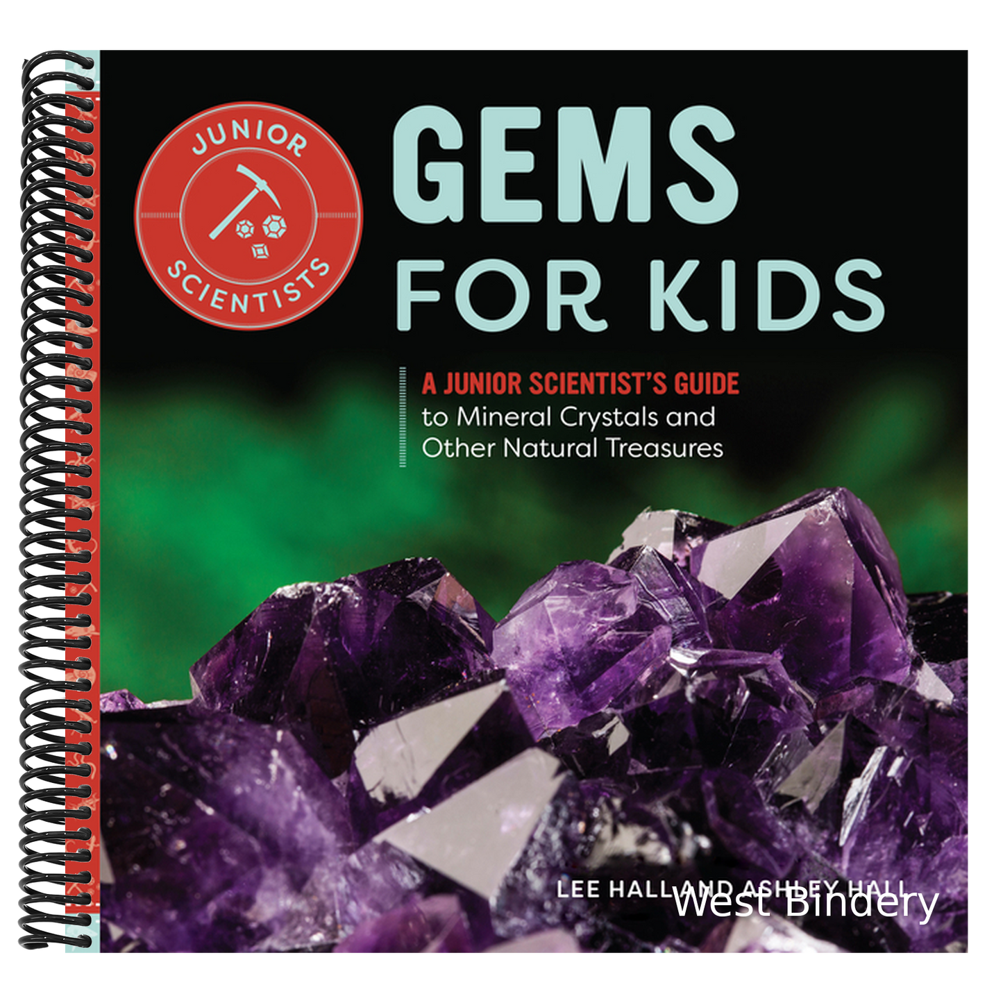 Gems for Kids: A Junior Scientist's Guide to Mineral Crystals and Other Natural Treasures