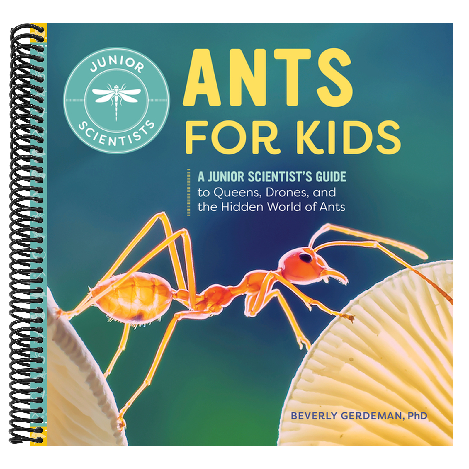 Ants for Kids: A Junior Scientist's Guide to Queens, Drones, and the Hidden World of Ants (Junior Scientists)