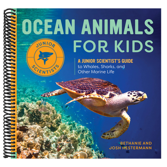 Ocean Animals for Kids: A Junior Scientist's Guide to Whales, Sharks, and Other Marine Life (Junior Scientists)