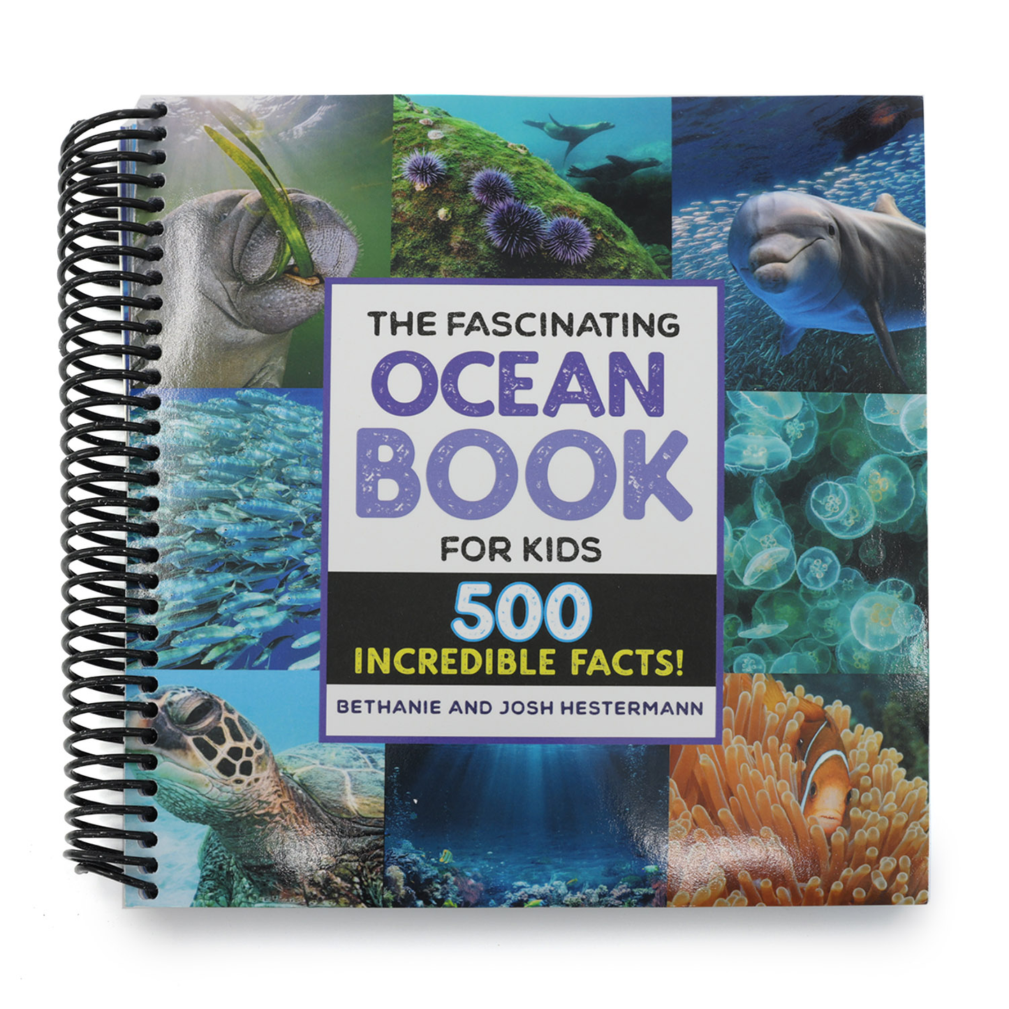 The Fascinating Ocean Book for Kids: 500 Incredible Facts! (Spiral Bound)