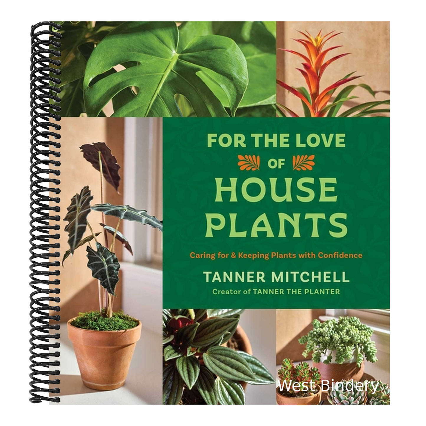 For the Love of Houseplants: Caring for & Keeping Plants with Confidence