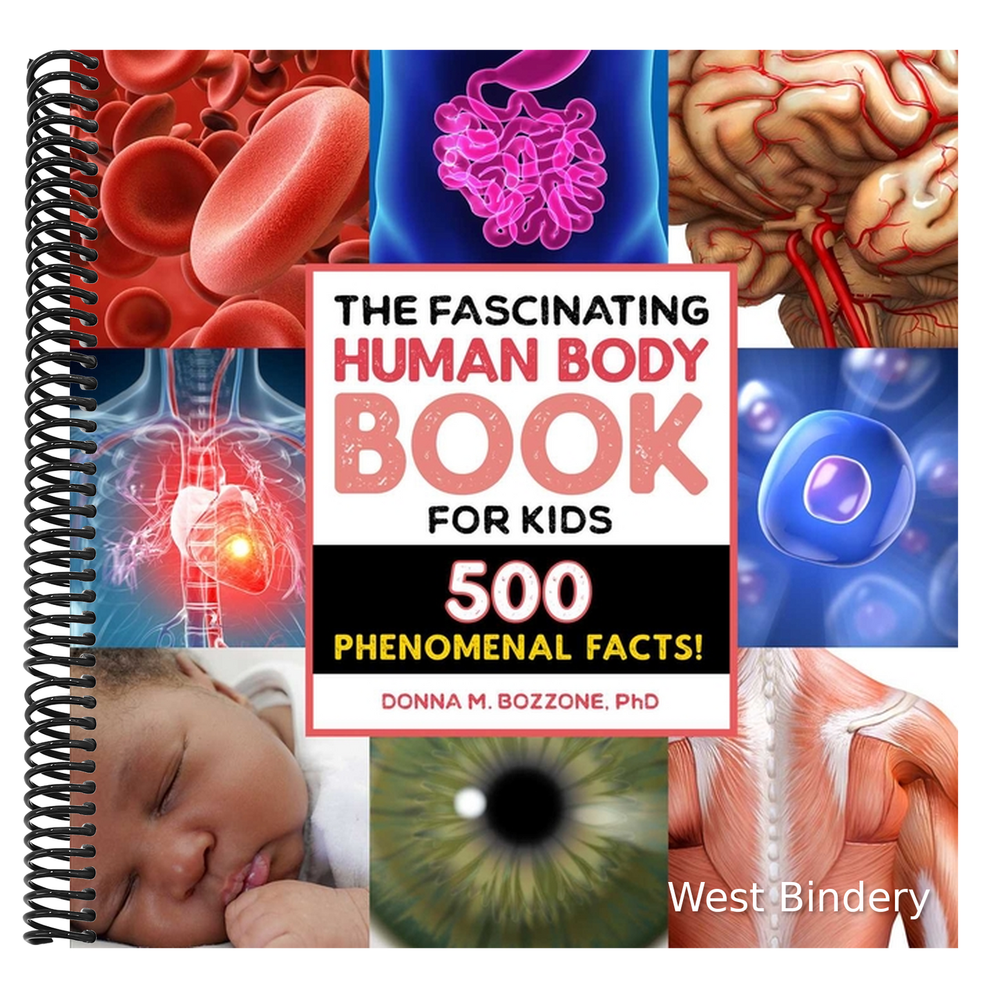 The Fascinating Human Body Book for Kids: 500 Phenomenal Facts!