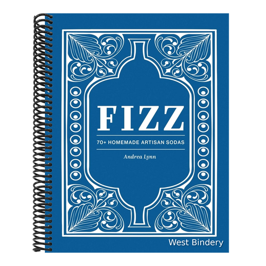 Fizz: 70+ Homemade Artisan Sodas