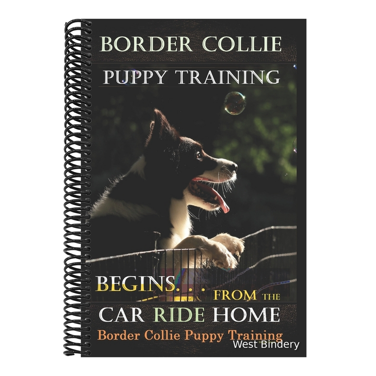 Border Collie Puppy Training Begins. . . From the Car Ride Home: Border Collie Puppy Training
