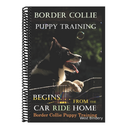 Border Collie Puppy Training Begins. . . From the Car Ride Home: Border Collie Puppy Training