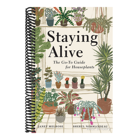 Staying Alive: The Go-To Guide for Houseplants
