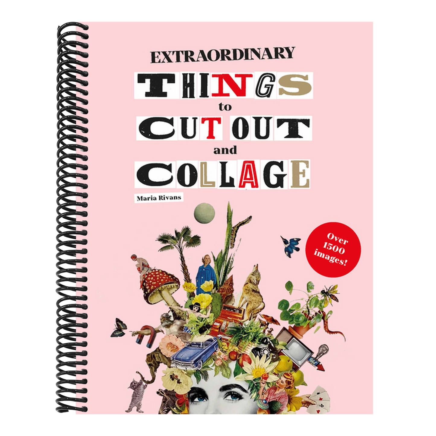 Extraordinary Things to Cut Out and Collage
