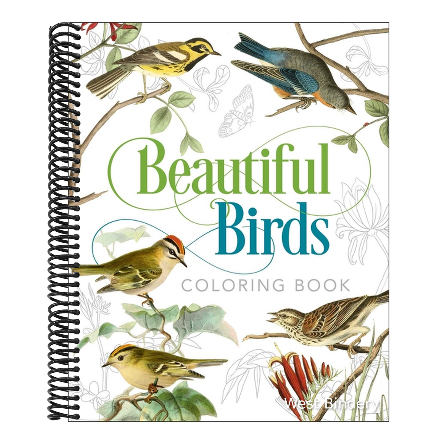 Beautiful Birds Coloring Book