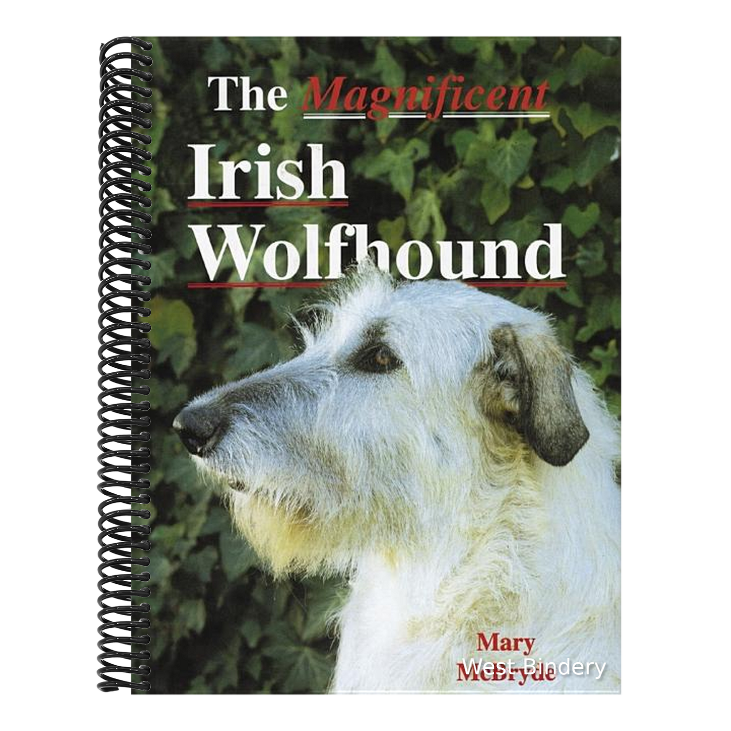The Magnificent Irish Wolfhound