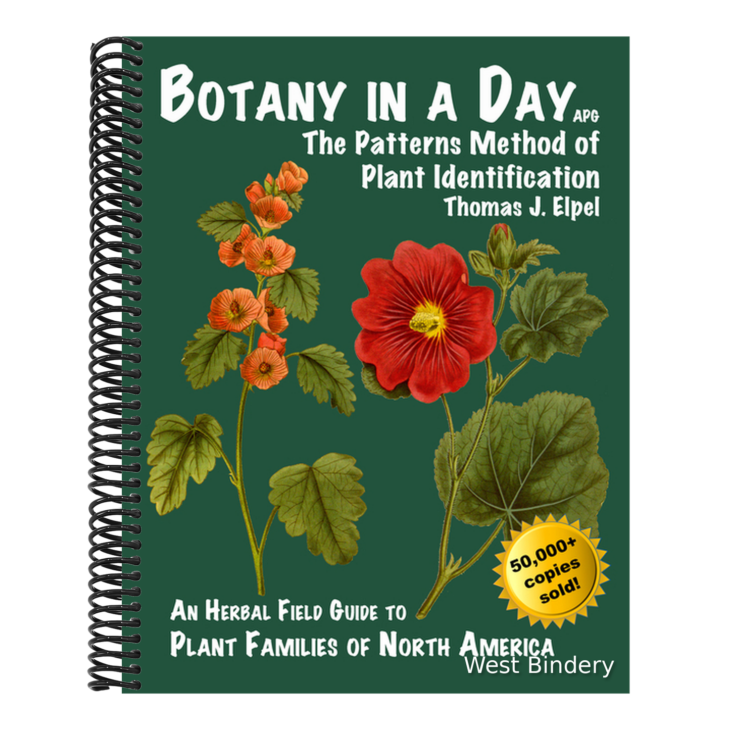 Botany in a Day: The Patterns Method of Plant Identification