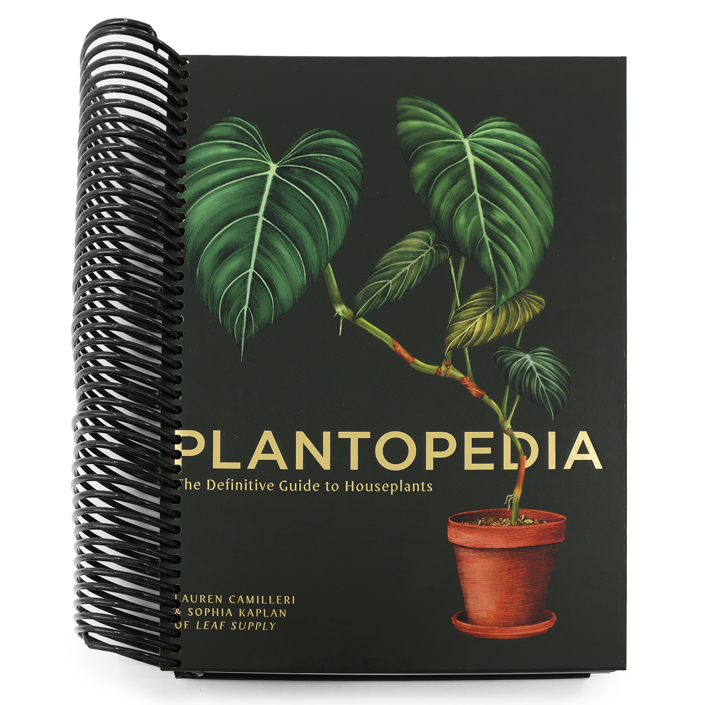 Plantopedia: The Definitive Guide to Houseplants (Spiral Bound)