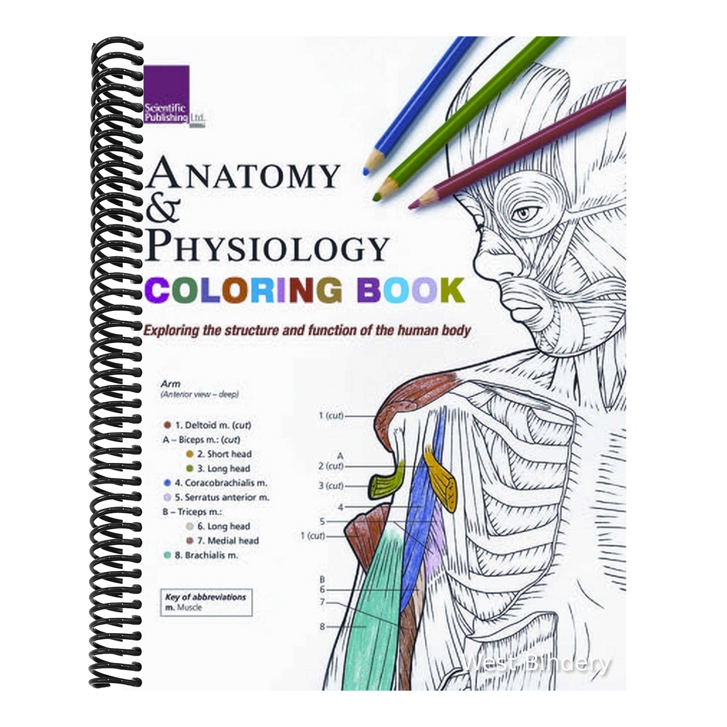 Anatomy & Physiology Coloring Book