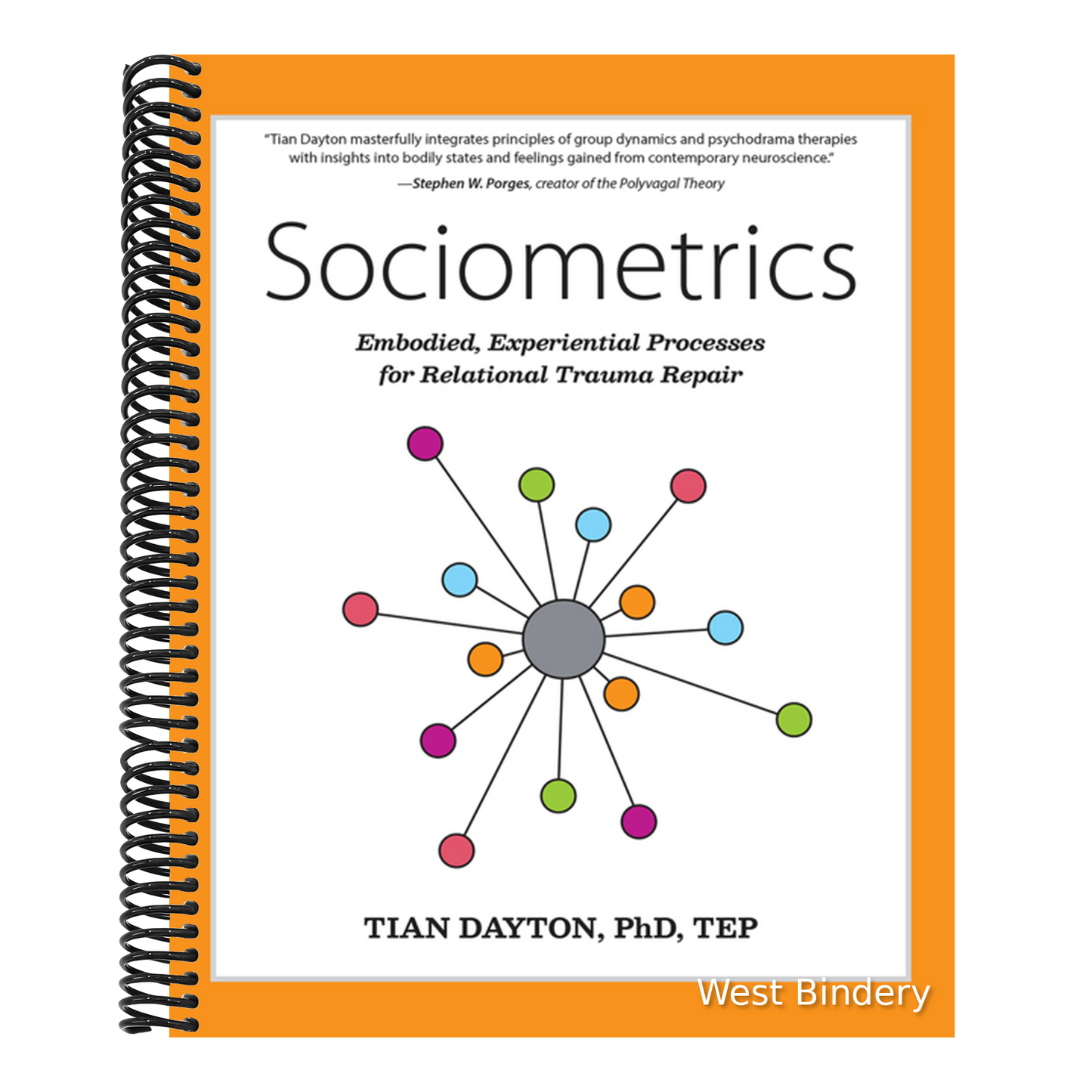 Sociometrics: Embodied, Experiential Processes for Relational Trauma Repair