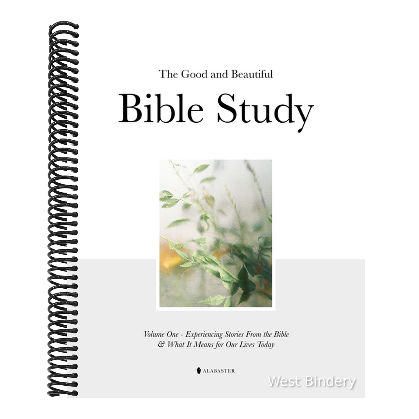 The Good and Beautiful Bible Study Vol 1 (Sc)