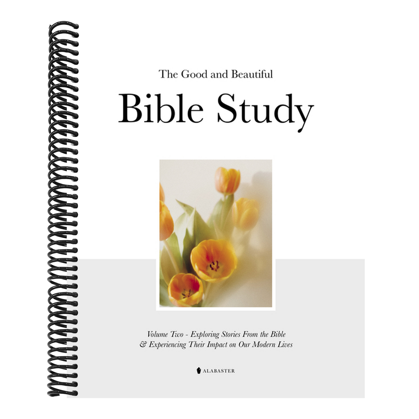 The Good and Beautiful Bible Study Vol 2 (Sc)