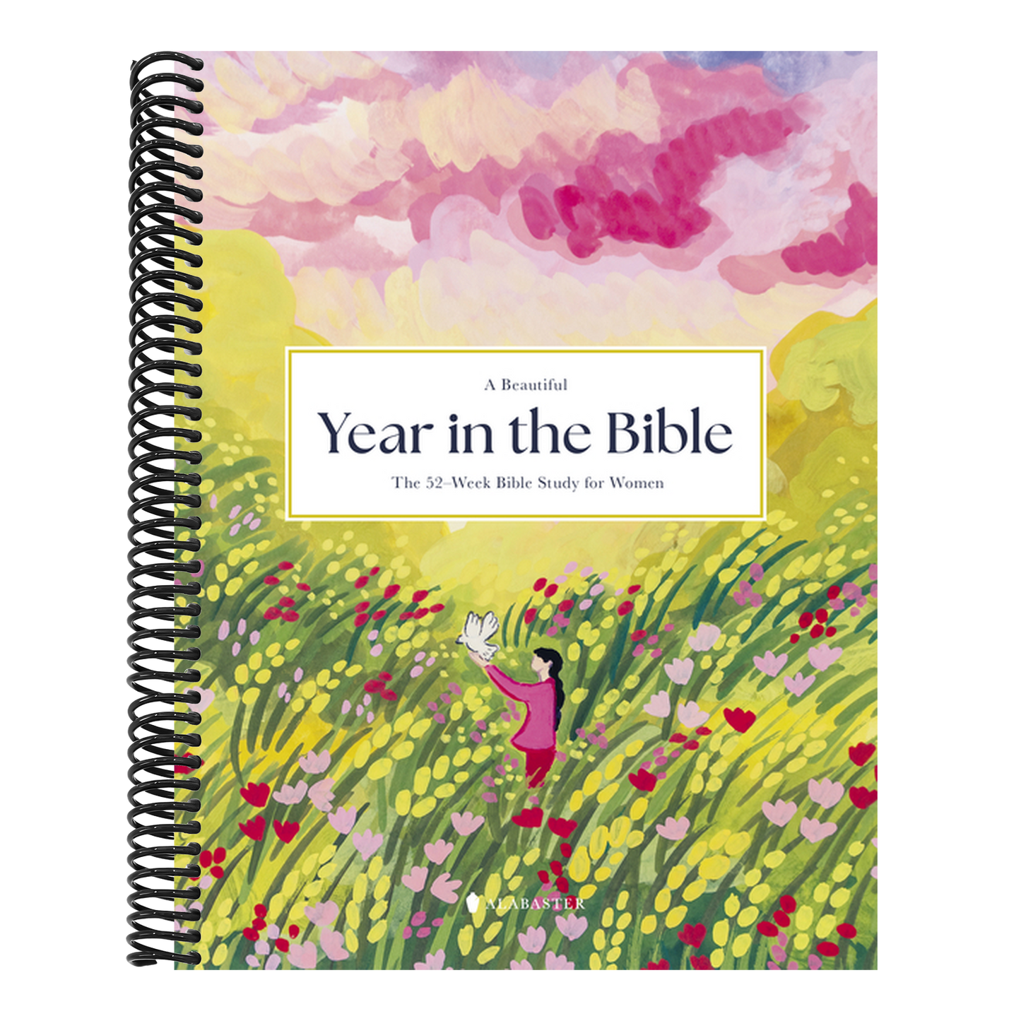 A Beautiful Year in the Bible: The 52-Week Bible Study for Women