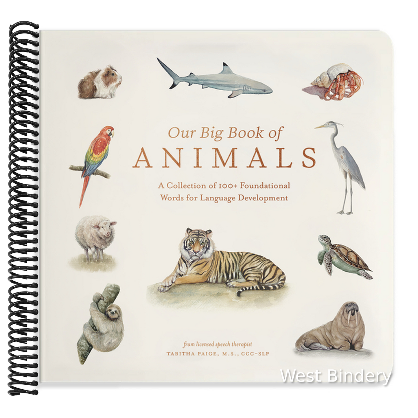 Our Big Book of Animals: First 100 Animal Words for Language Development, Including Farm, Jungle, Pets, Bugs, and More