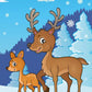 Deer Coloring Book 1