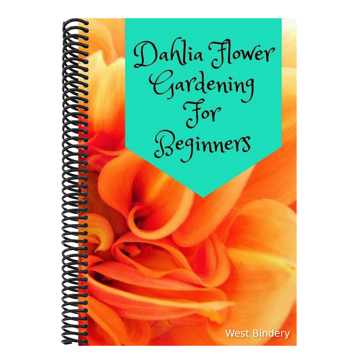 Dahlia Flower Gardening For Beginners
