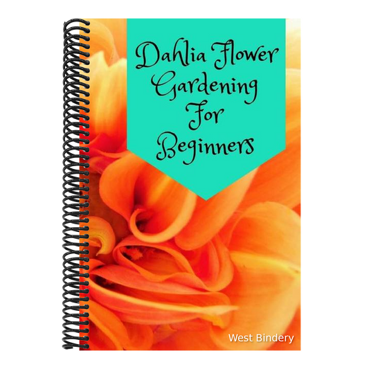 Dahlia Flower Gardening For Beginners