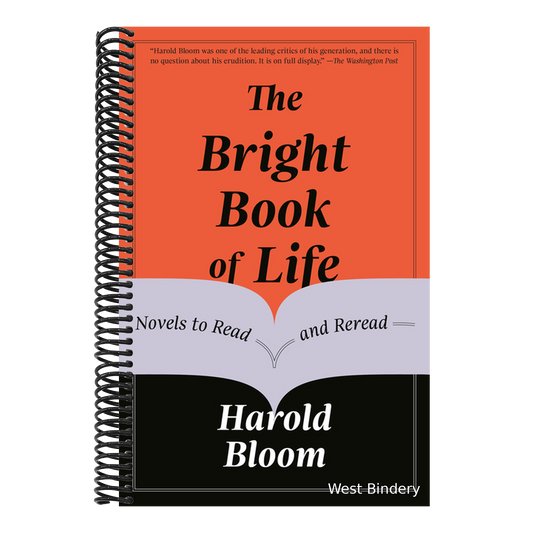 The Bright Book of Life: Novels to Read and Reread