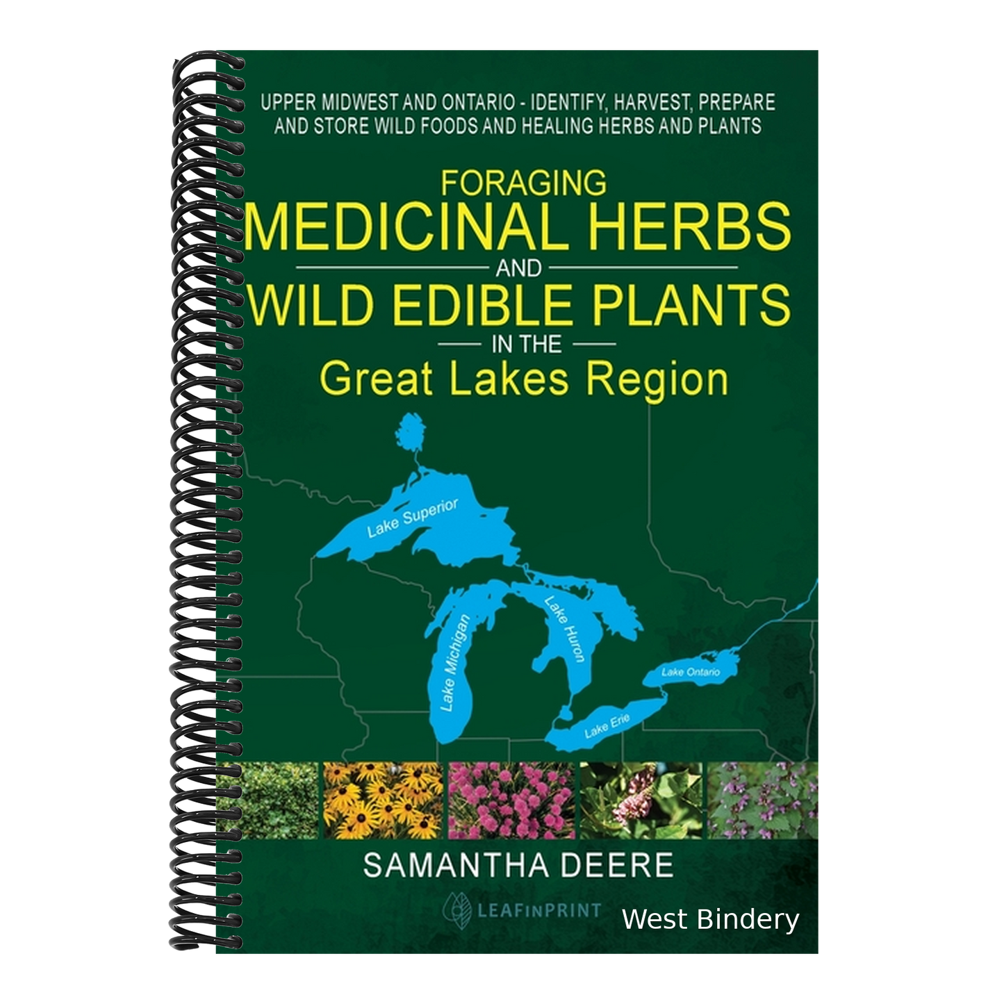 Foraging Medicinal Herbs and Wild Edible Plants in the Great Lakes Region: Upper Midwest and Ontario - Identify, Harvest, Prepare and Store Wild Foods
