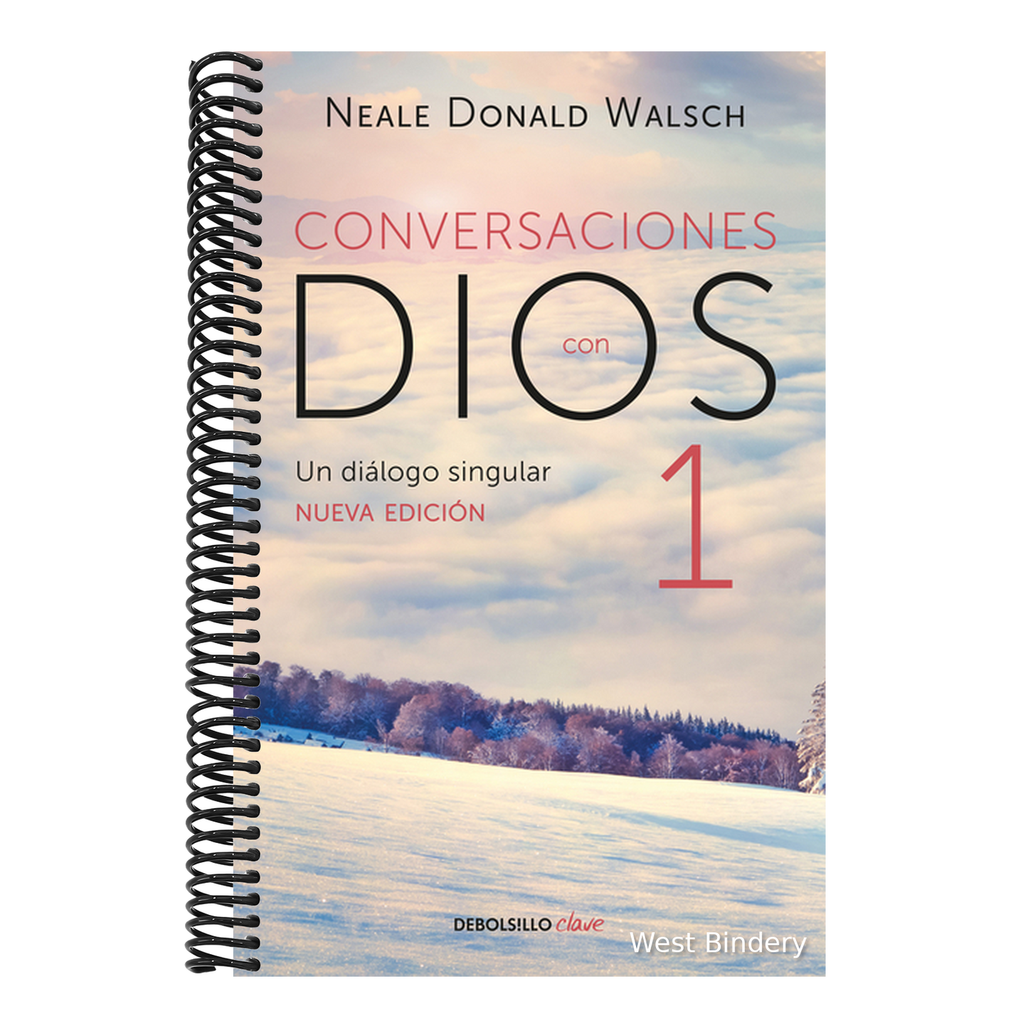 Conversaciones Con Dios: Un Diálogo Singular / Conversations with God