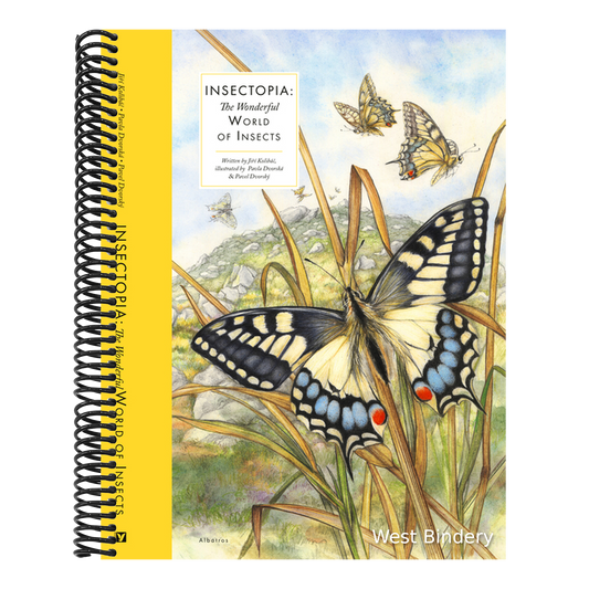 Insectopia: The Wonderful World of Insects